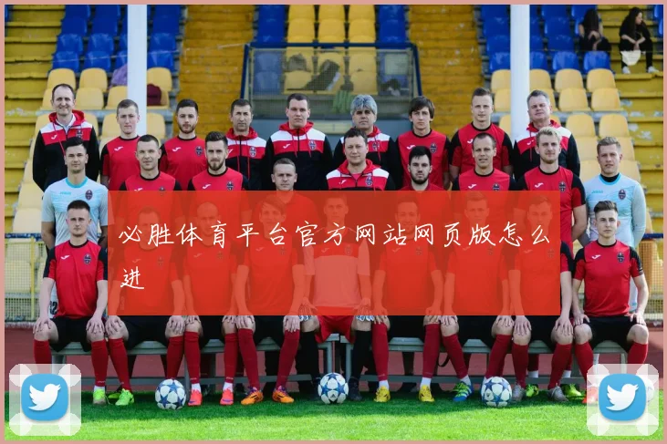 必胜体育平台官方网站网页版怎么进